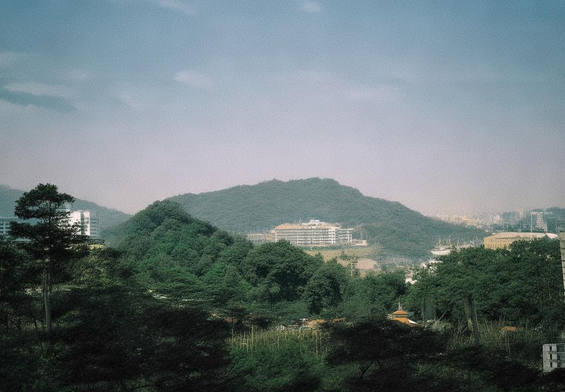 阿独与老虎：南美绿茵激情对决解析